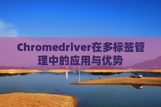 Chromedriver在多标签管理中的应用与优势