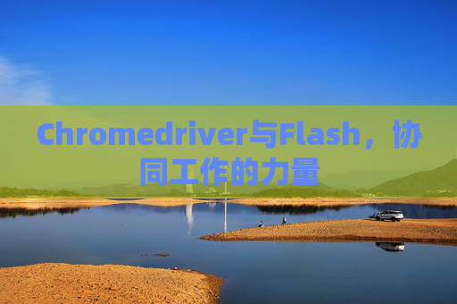 Chromedriver与Flash,协同工作的力量 Chromedriver与Flash,协同工作的力量